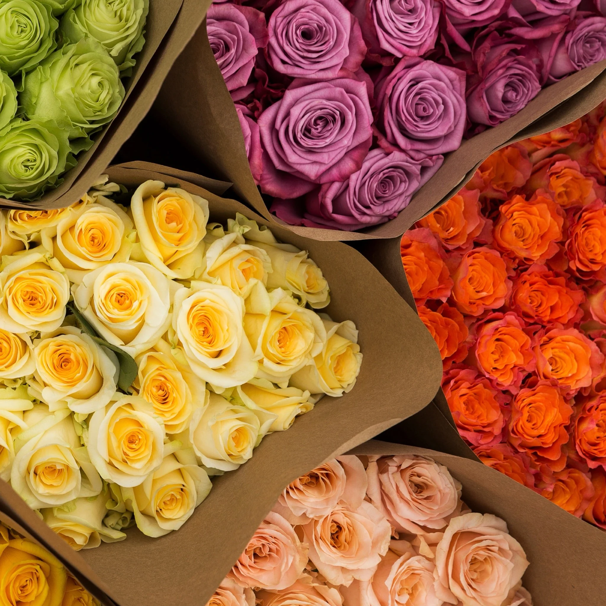 Farmer's Choice Roses - Image 4