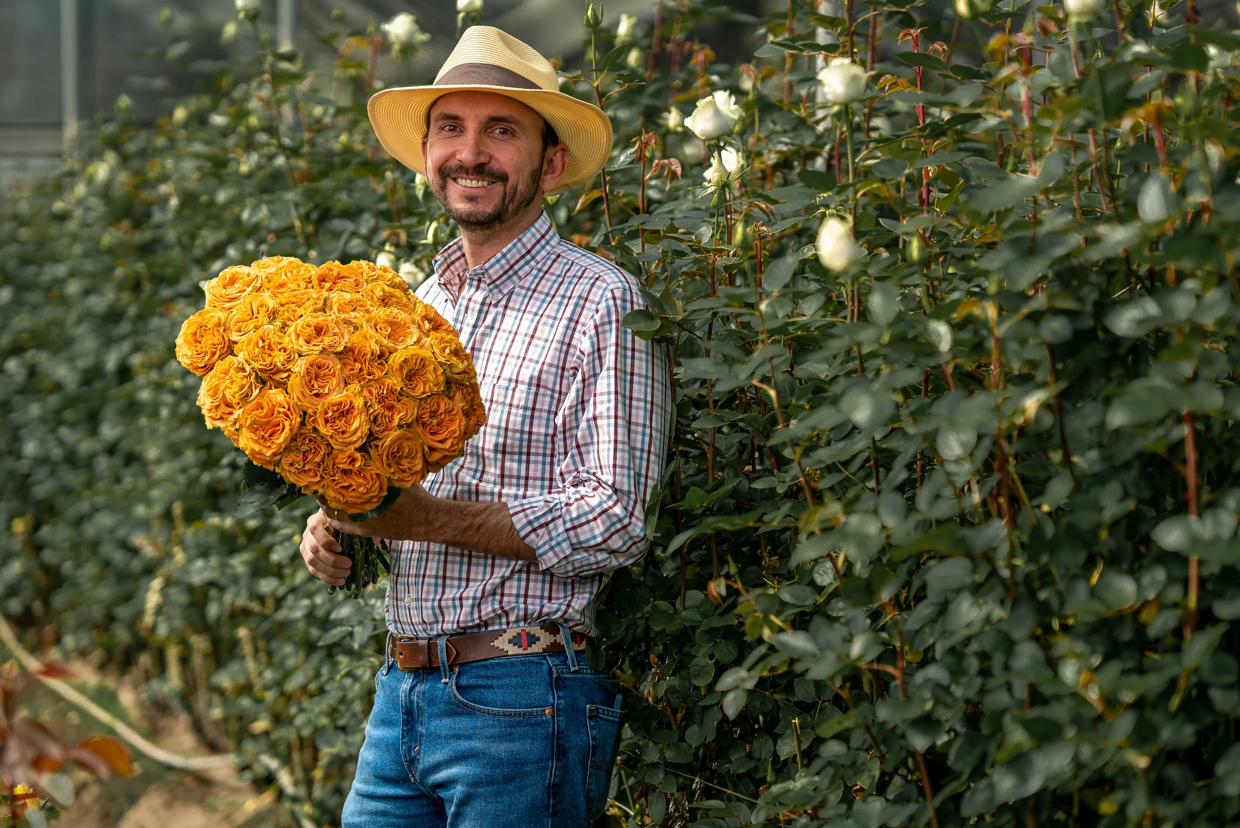 Orange Citrus Long Stem Roses (Add On) - Image 3