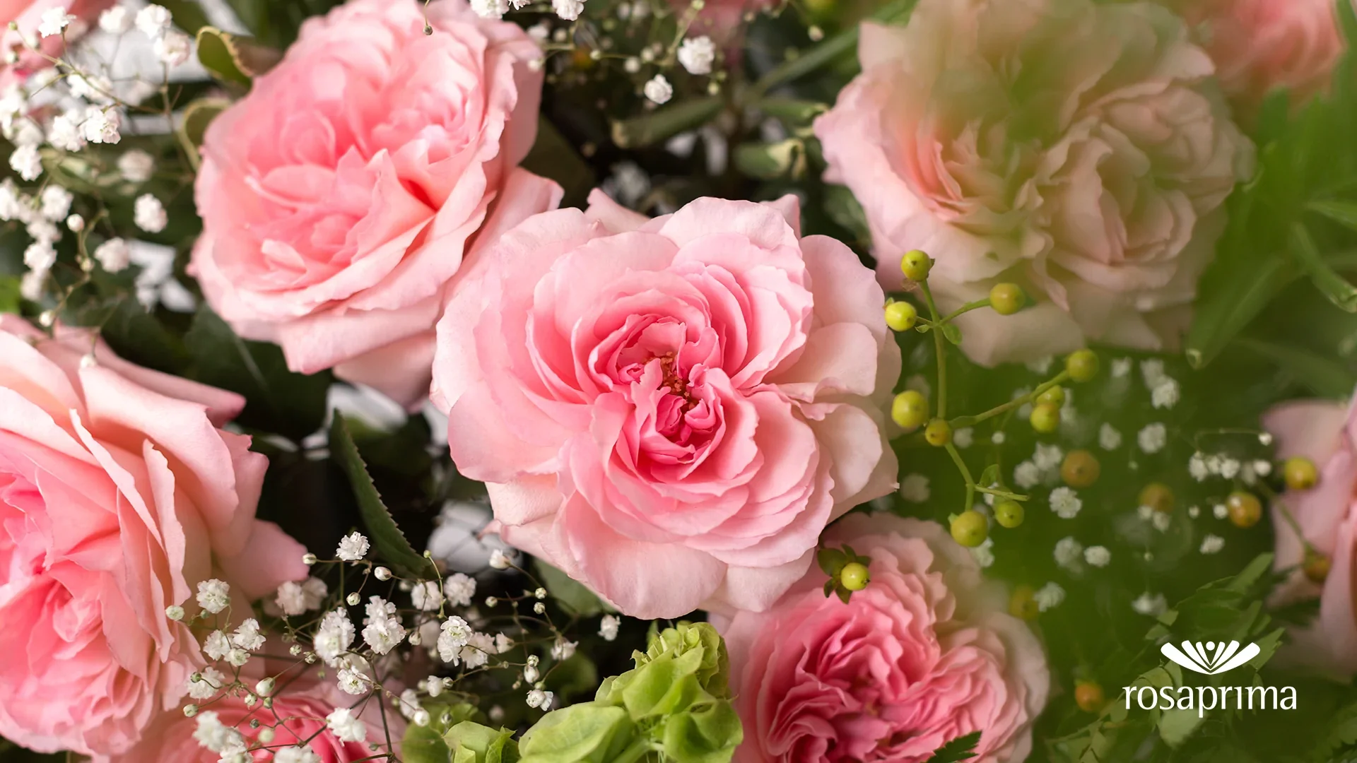 Pink Passion Long Stem Roses (Add-On) - Image 3
