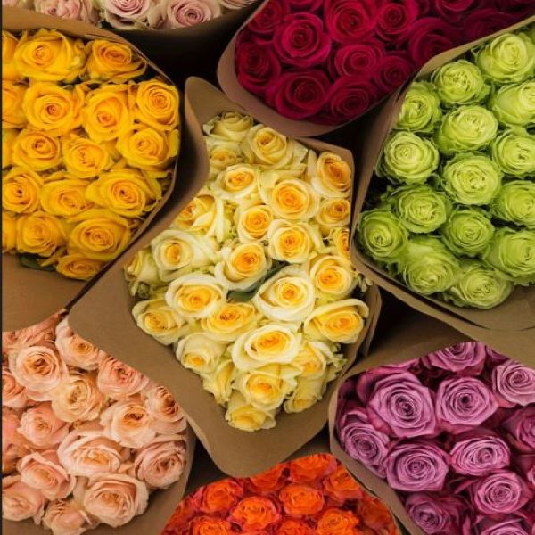 Luxury Long-Stem Roses - Image 2