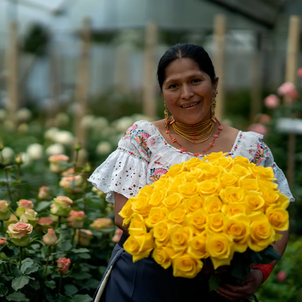 Yellow Bright Long Stem Roses (Add On) - Image 3
