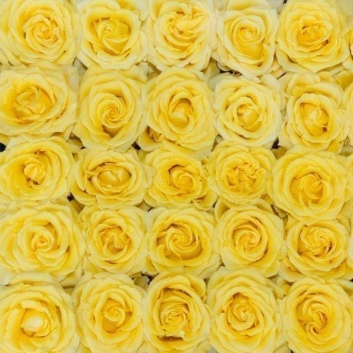 Yellow Bright Long Stem Roses (Add On) - Image 4
